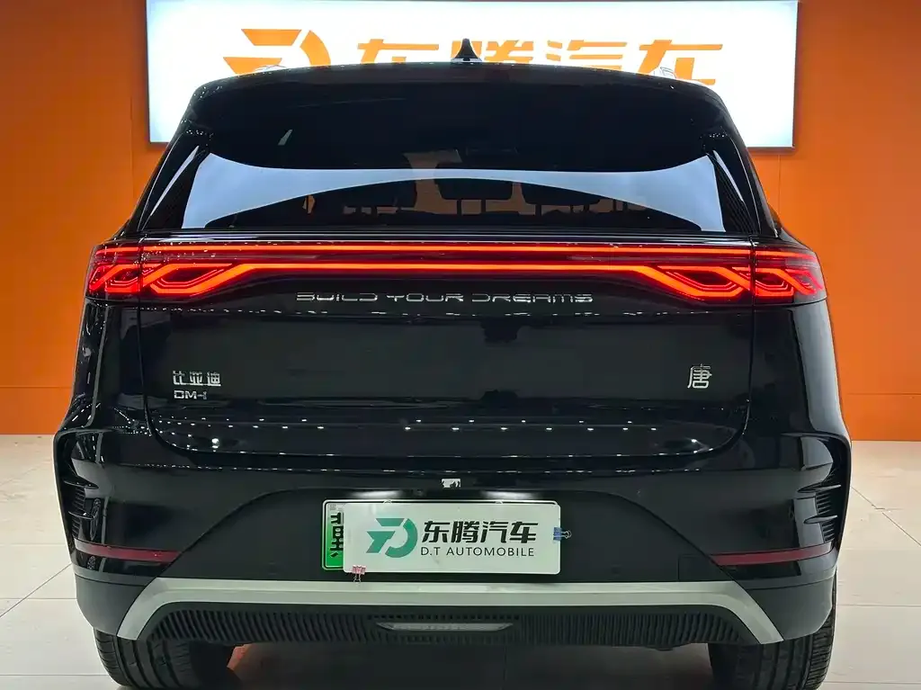 BYD Tang New Energy 2024 из CN, фото 7