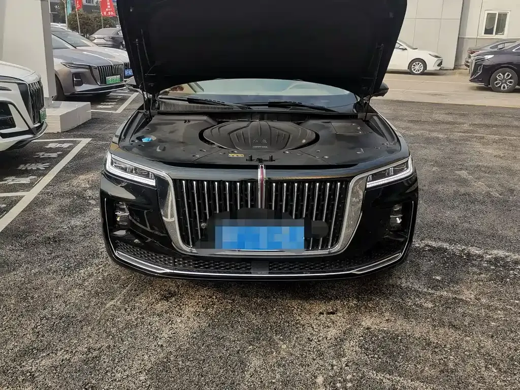 Hongqi H9 2023 из CN, фото 3