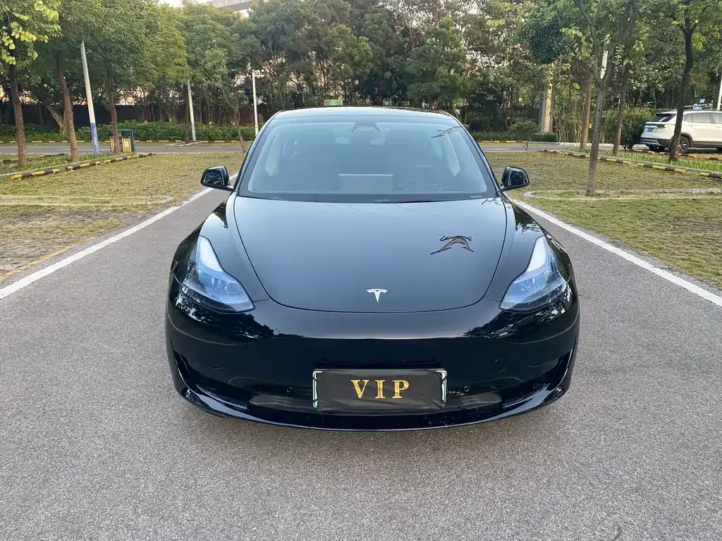 Tesla Model 3 — фото 2