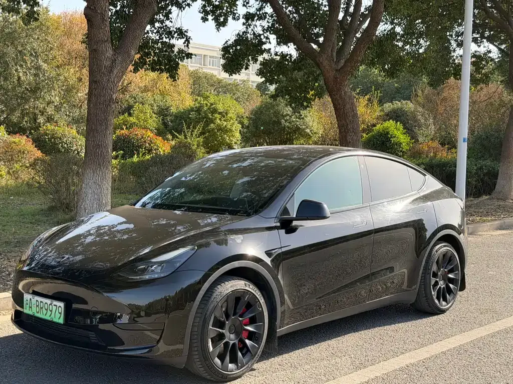 Tesla Model Y — фото 1