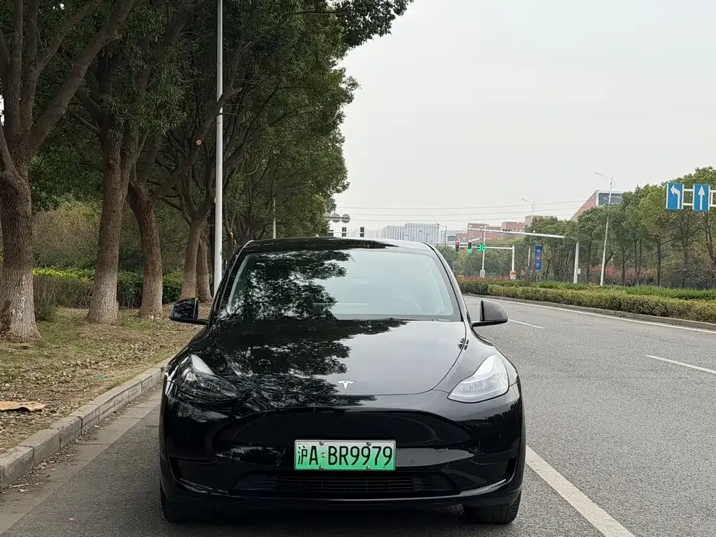 Tesla Model Y — фото 2