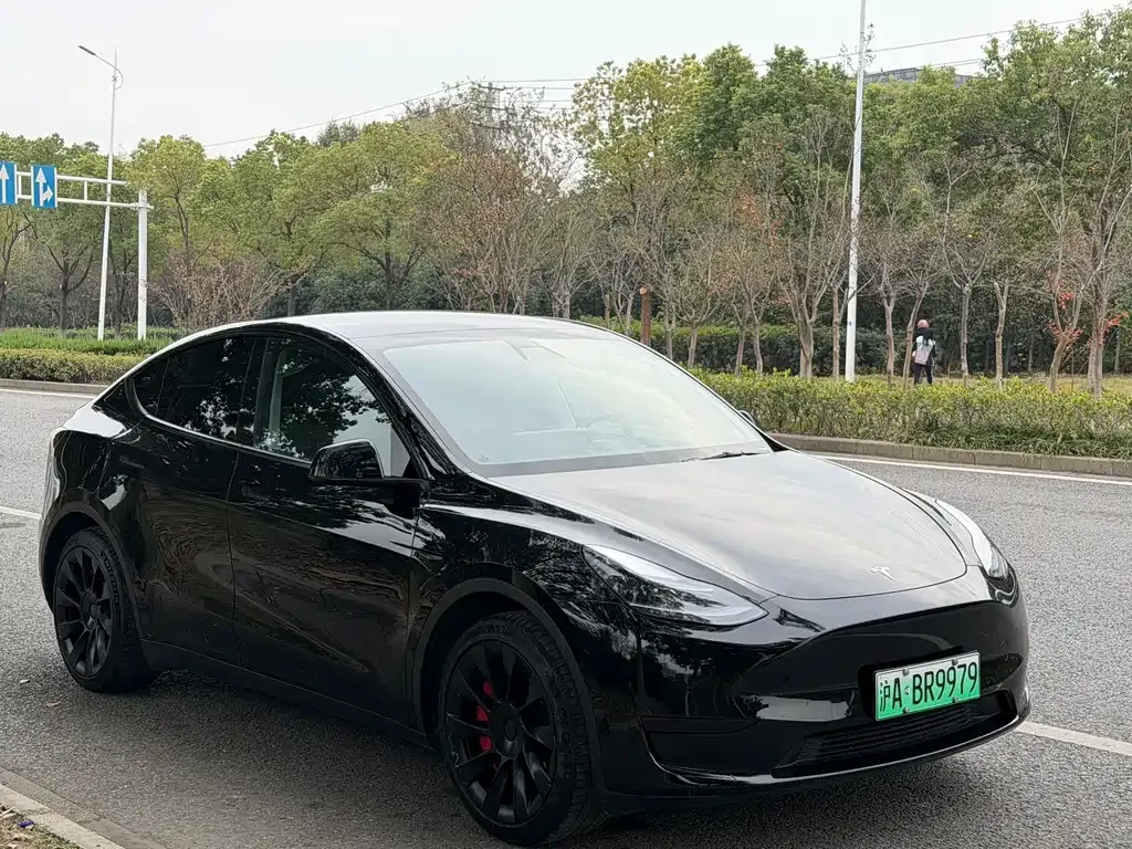 Tesla Model Y — фото 3