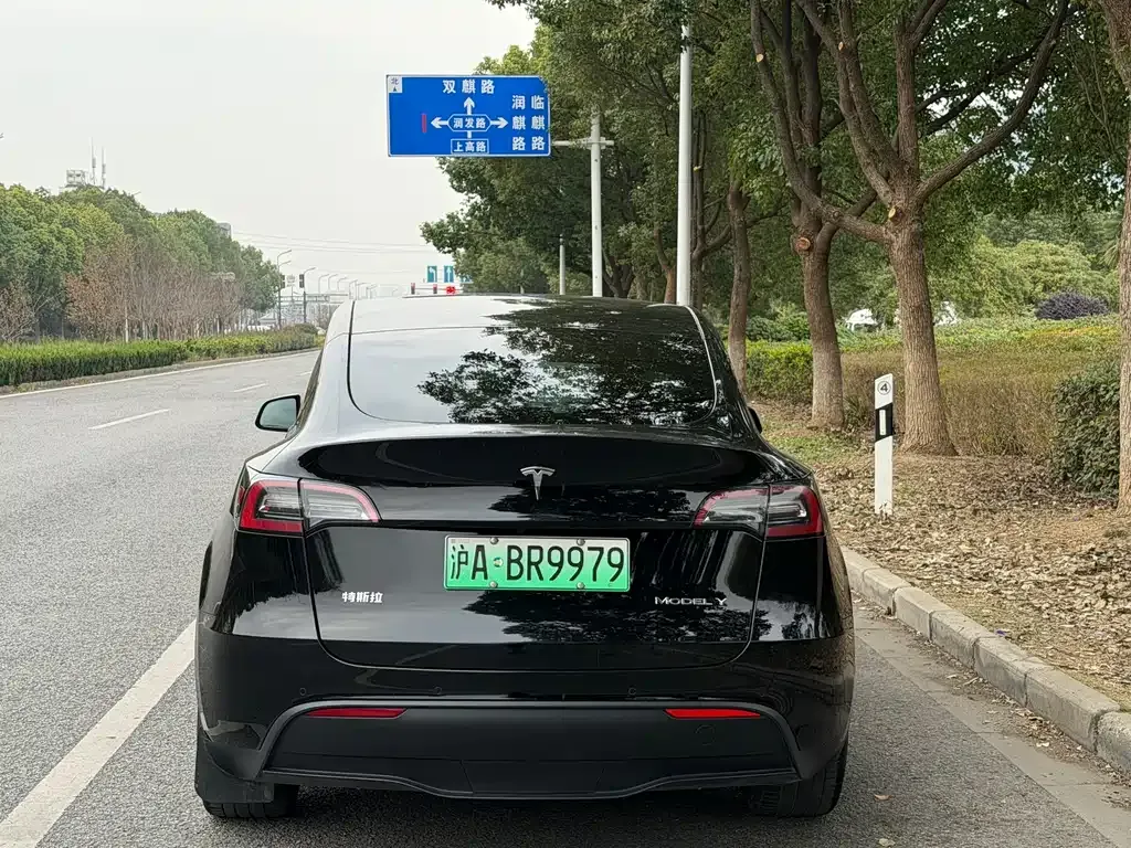Tesla Model Y — фото 4
