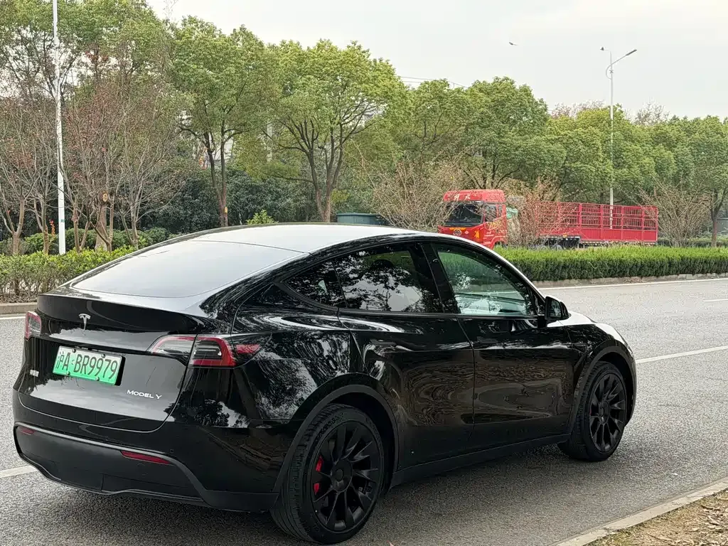 Tesla Model Y — фото 5