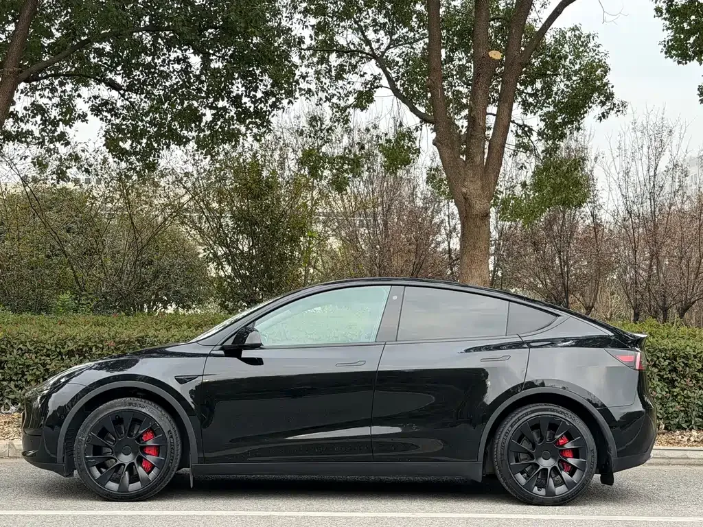 Tesla Model Y — фото 6