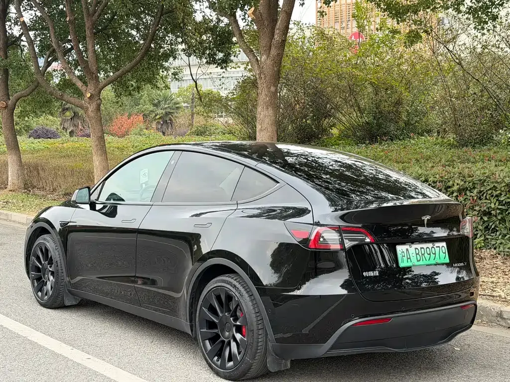 Tesla Model Y — фото 7