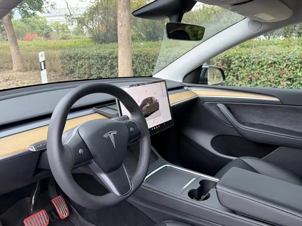 Tesla Model Y — фото 9