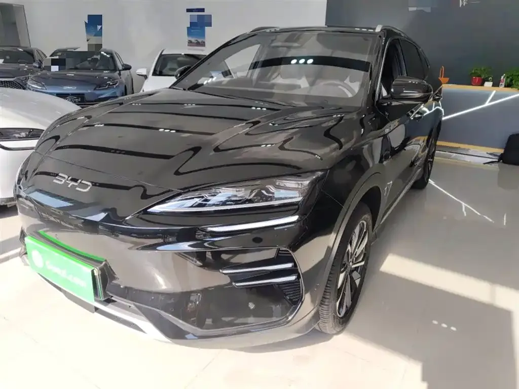 BYD PLUS New Energy 2025 из CN, фото 1