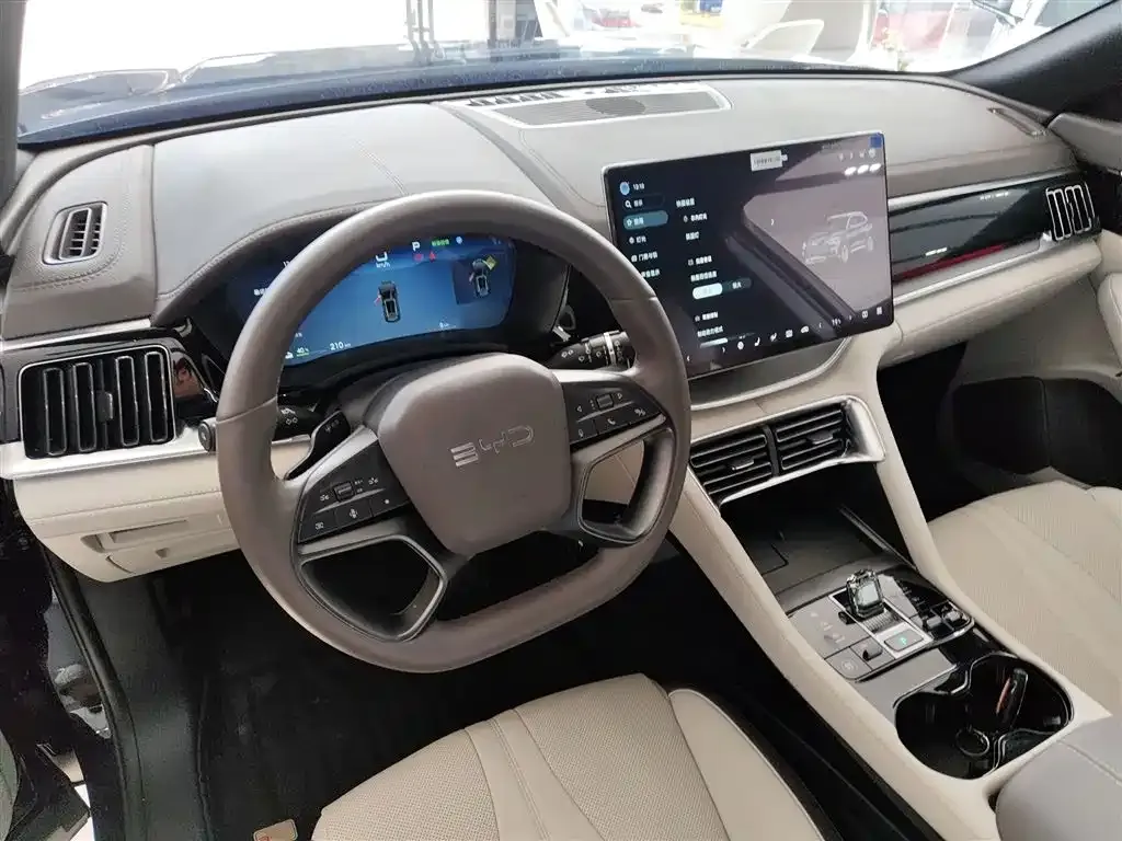 BYD PLUS New Energy 2025 из CN, фото 10