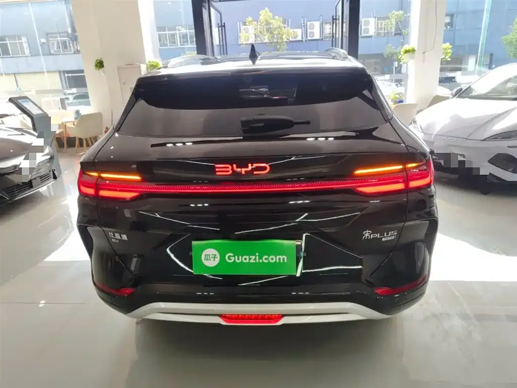BYD PLUS New Energy 2025 из CN, фото 6