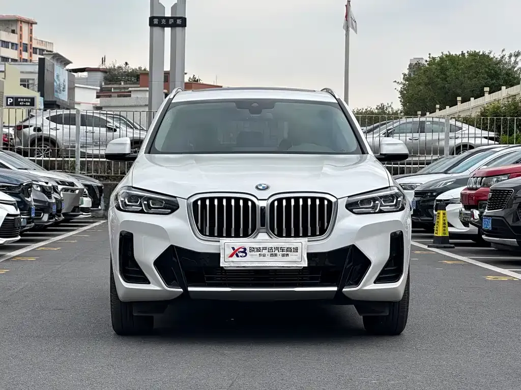 BMW X3 2022 из CN, фото 2