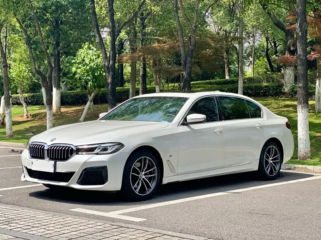 BMW 5 Series — фото 1