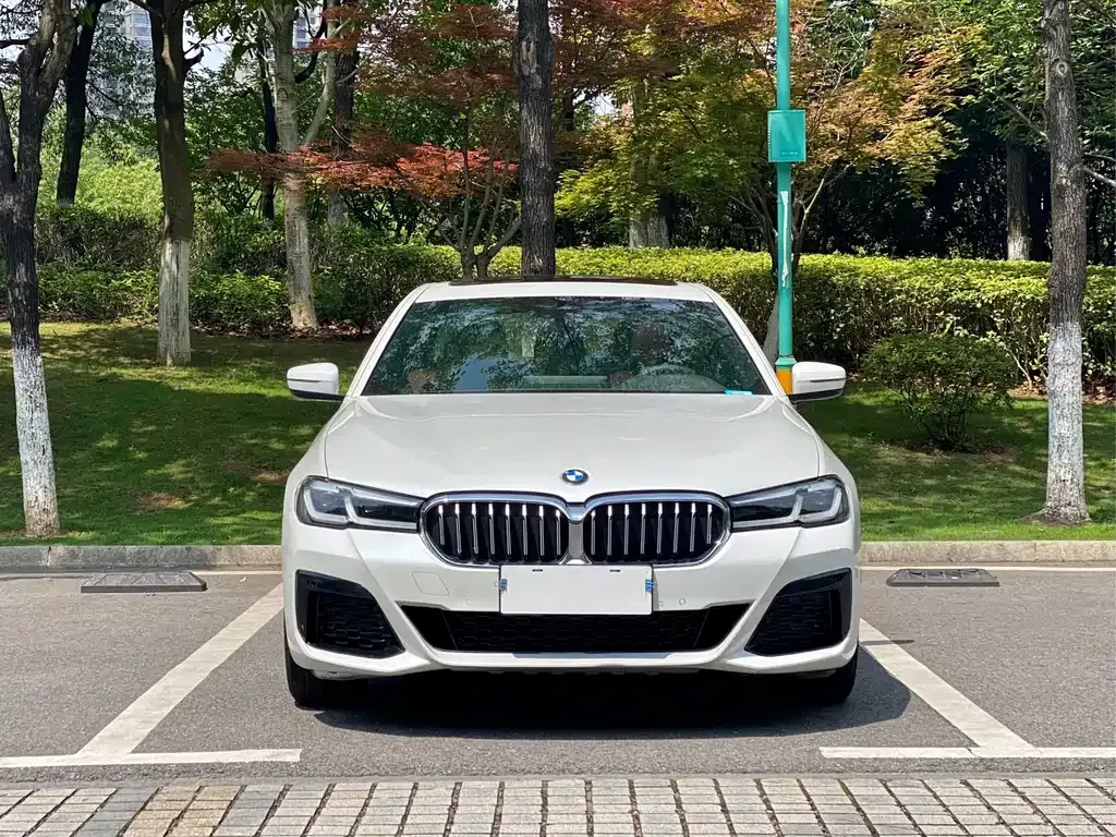 BMW 5 Series — фото 2