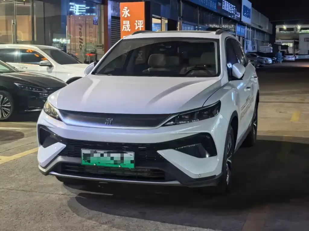 BYD Pro New Energy 2024 из CN, фото 1