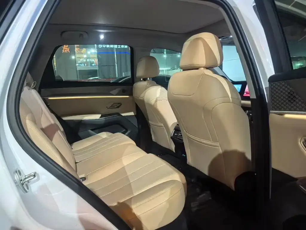 BYD Pro New Energy 2024 из CN, фото 5