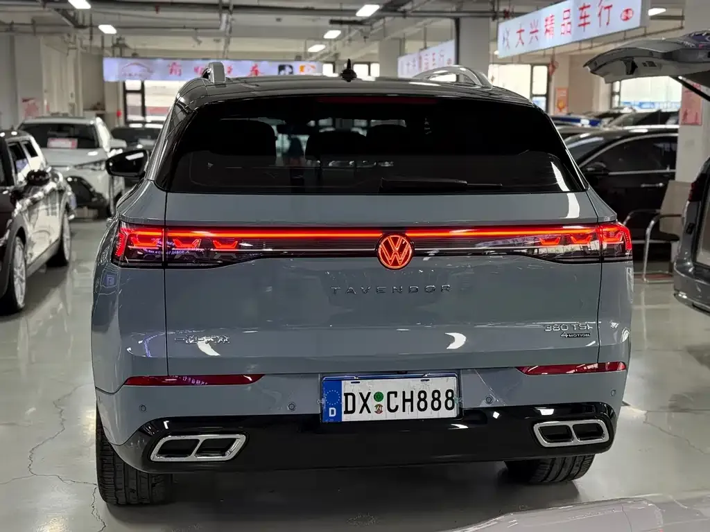 Volkswagen Tavendor 2024 из CN, фото 6