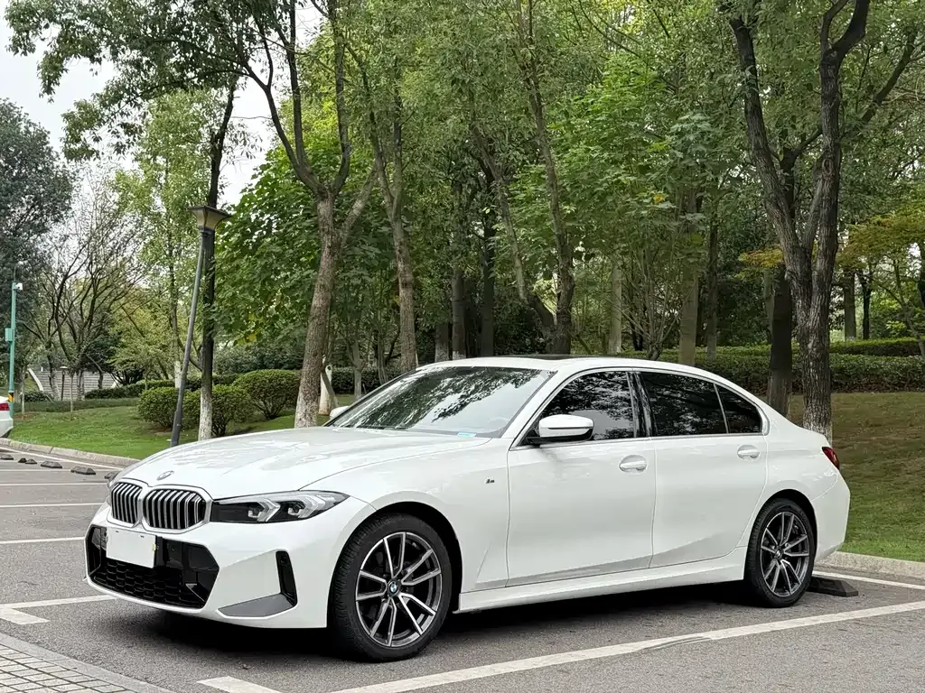 BMW 3 Series 2023 из CN, фото 1