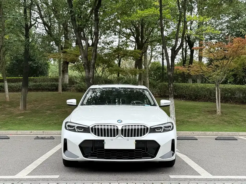 BMW 3 Series 2023 из CN, фото 2