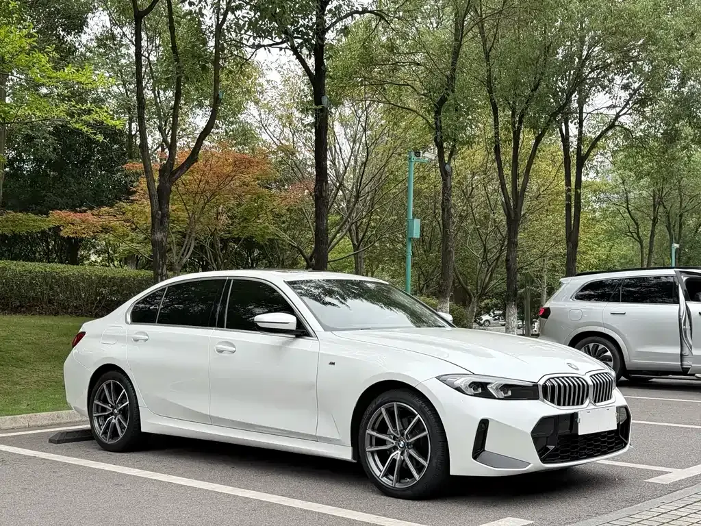 BMW 3 Series 2023 из CN, фото 3