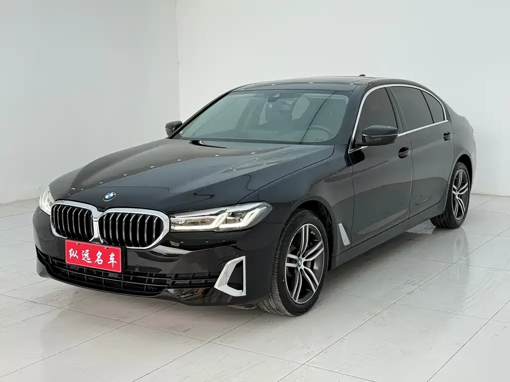 BMW 5 Series 2021 из CN, фото 1