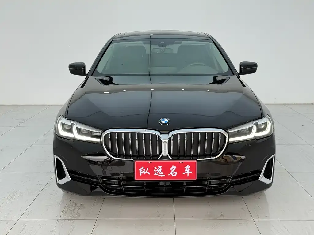 BMW 5 Series 2021 из CN, фото 2