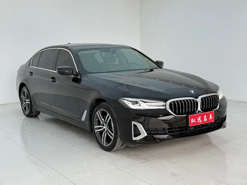 BMW 5 Series 2021 из CN, фото 3