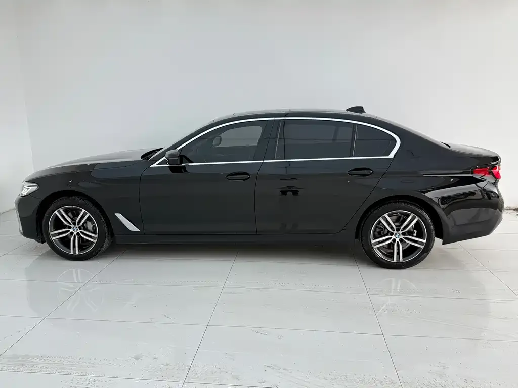BMW 5 Series 2021 из CN, фото 4