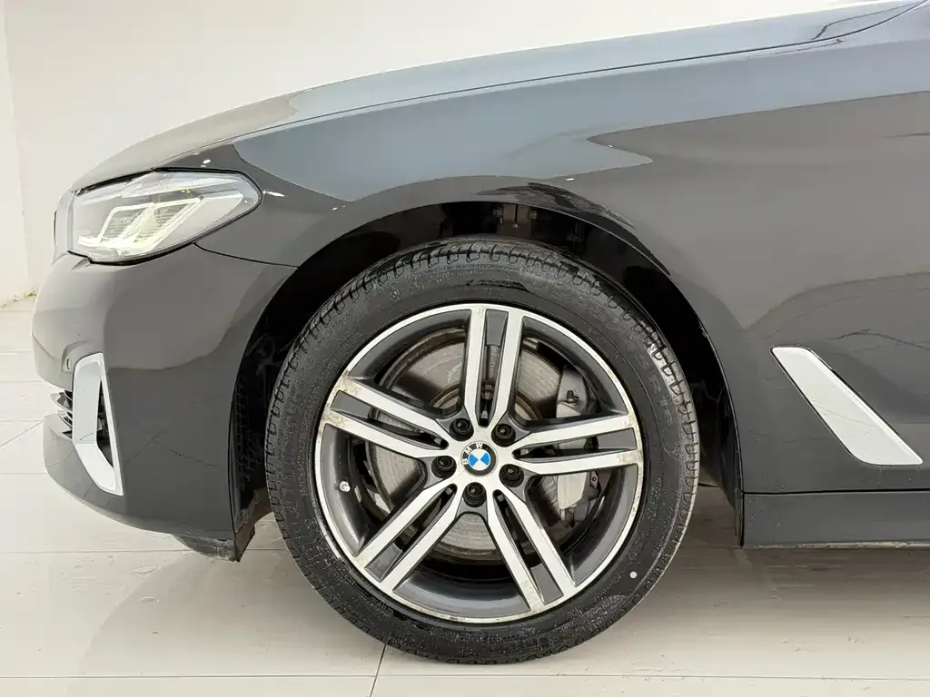 BMW 5 Series 2021 из CN, фото 5
