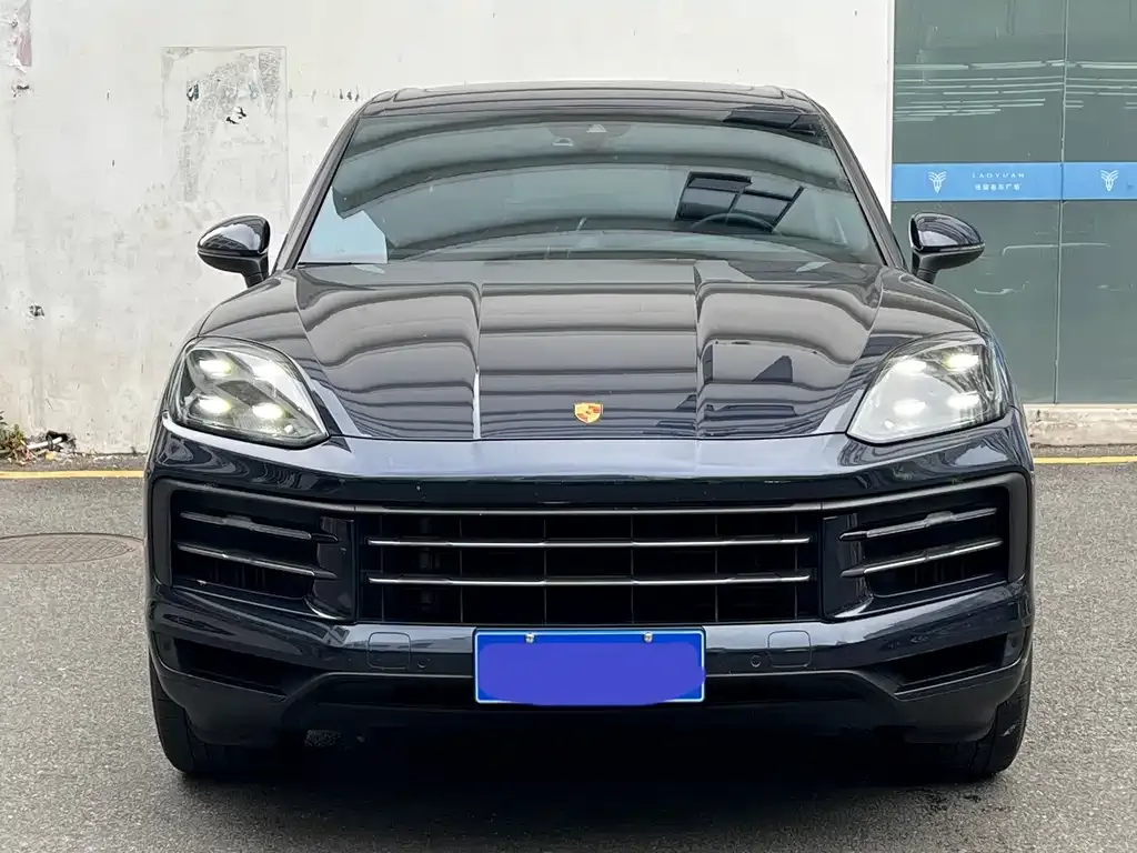 Porsche Cayenne — фото 10