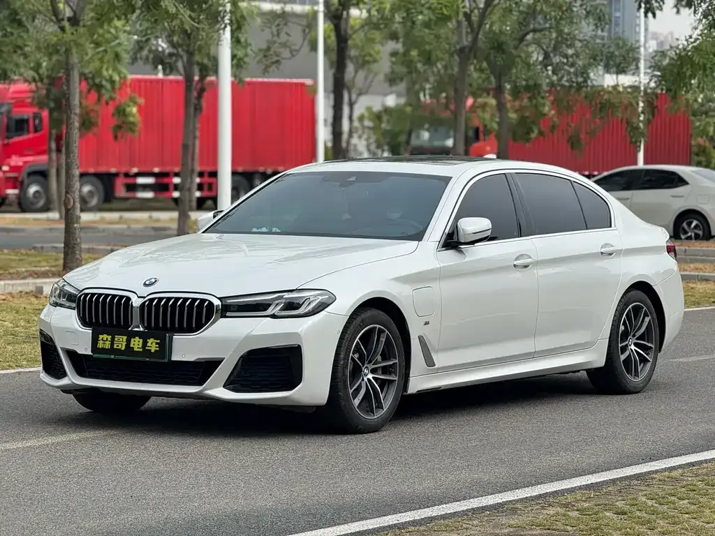 BMW 5 Series New Energy 2021 из CN, фото 1