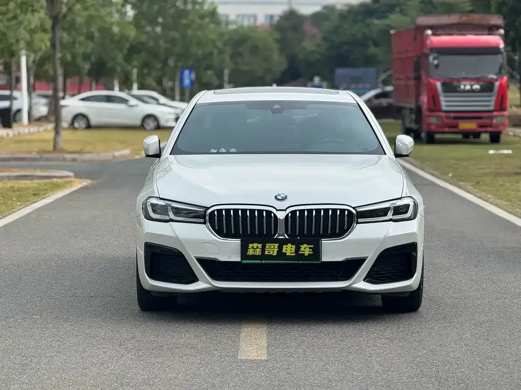 BMW 5 Series New Energy 2021 из CN, фото 2