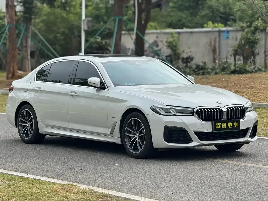 BMW 5 Series New Energy 2021 из CN, фото 3
