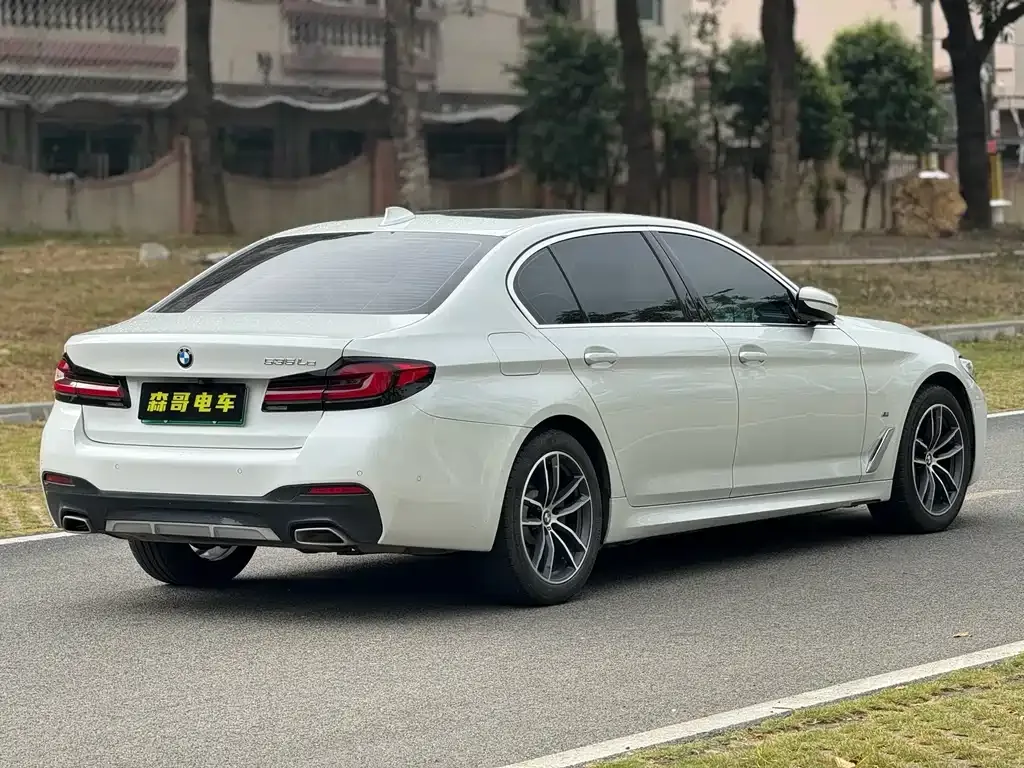 BMW 5 Series New Energy 2021 из CN, фото 5