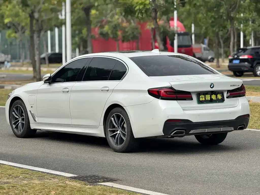 BMW 5 Series New Energy 2021 из CN, фото 6