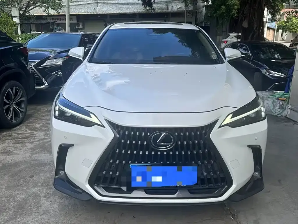 Lexus NX 2024 из CN, фото 1