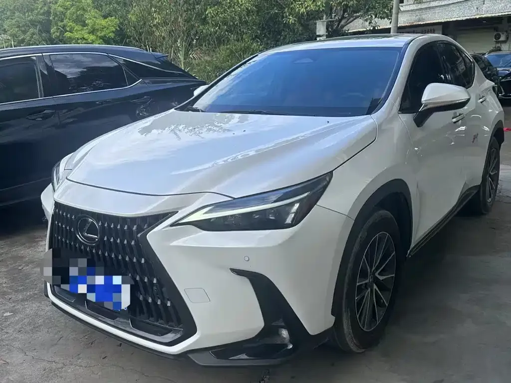 Lexus NX 2024 из CN, фото 2