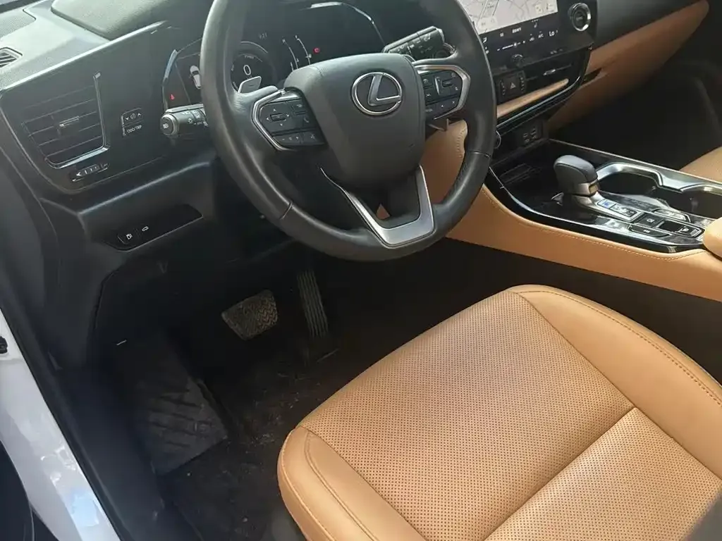 Lexus NX 2024 из CN, фото 6