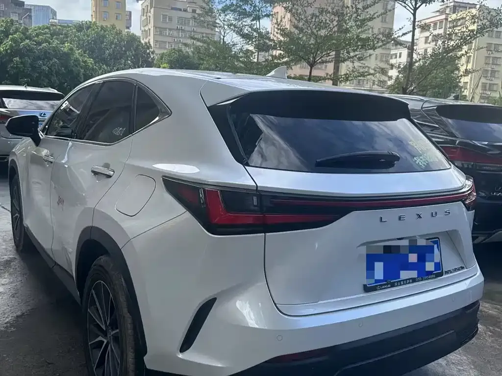 Lexus NX 2024 из CN, фото 9