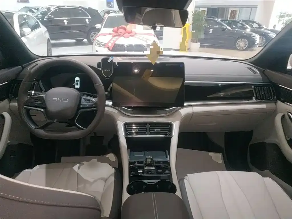 BYD PLUS New Energy 2025 из CN, фото 10