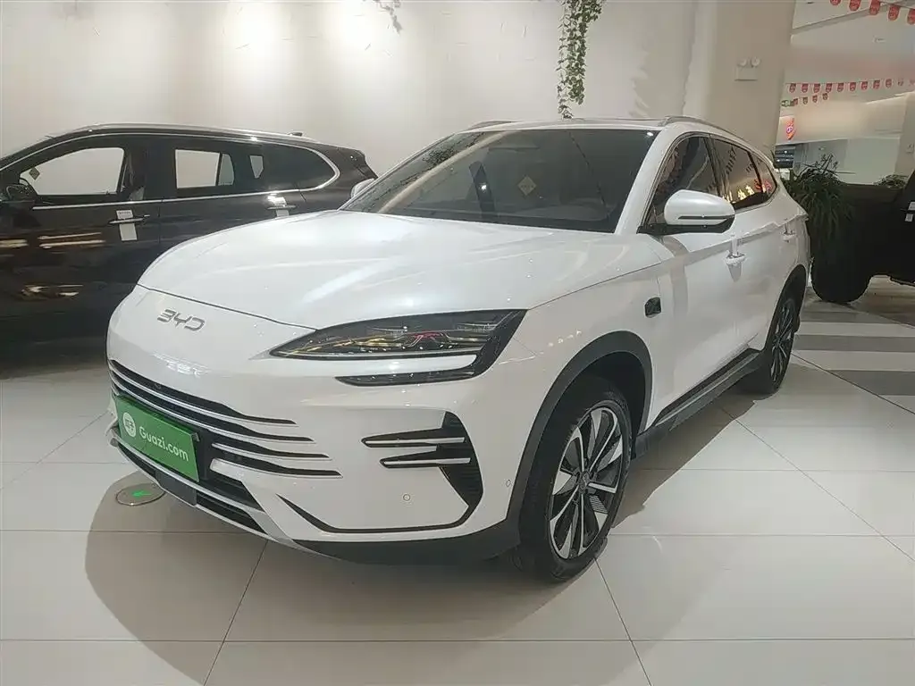 BYD PLUS New Energy 2025 из CN, фото 2