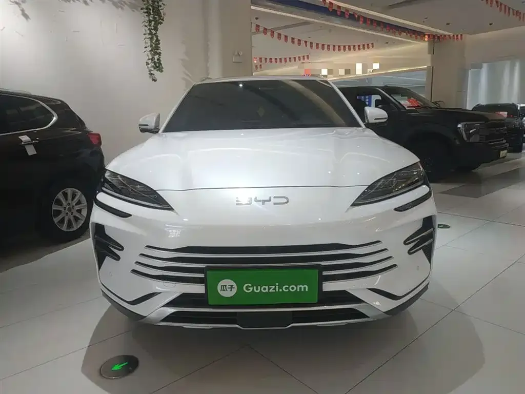 BYD PLUS New Energy 2025 из CN, фото 3