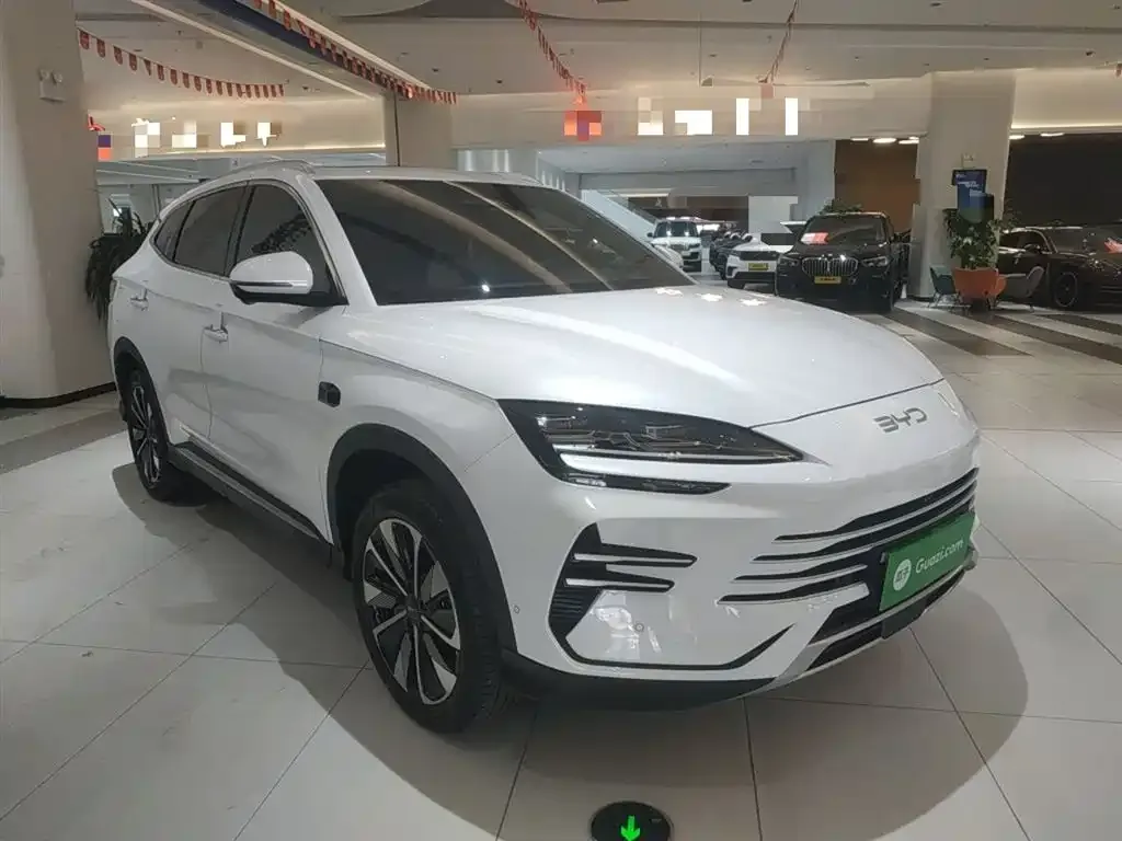BYD PLUS New Energy 2025 из CN, фото 4