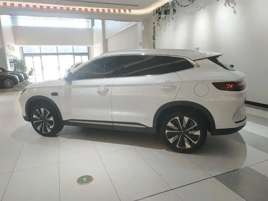 BYD PLUS New Energy 2025 из CN, фото 5