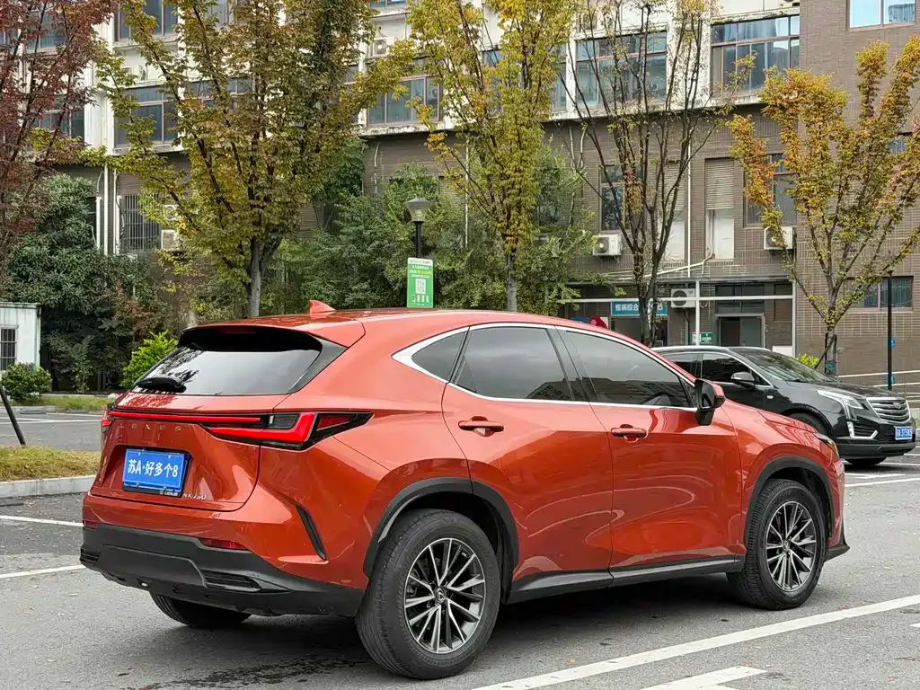 Lexus NX — фото 4