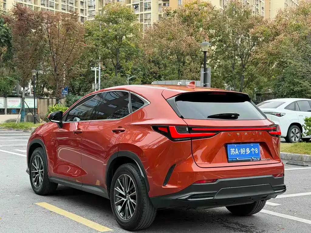 Lexus NX — фото 6