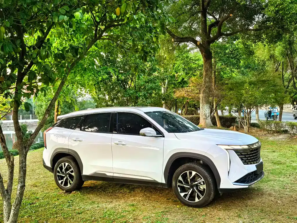 Geely Boyue L 2024 из CN, фото 3