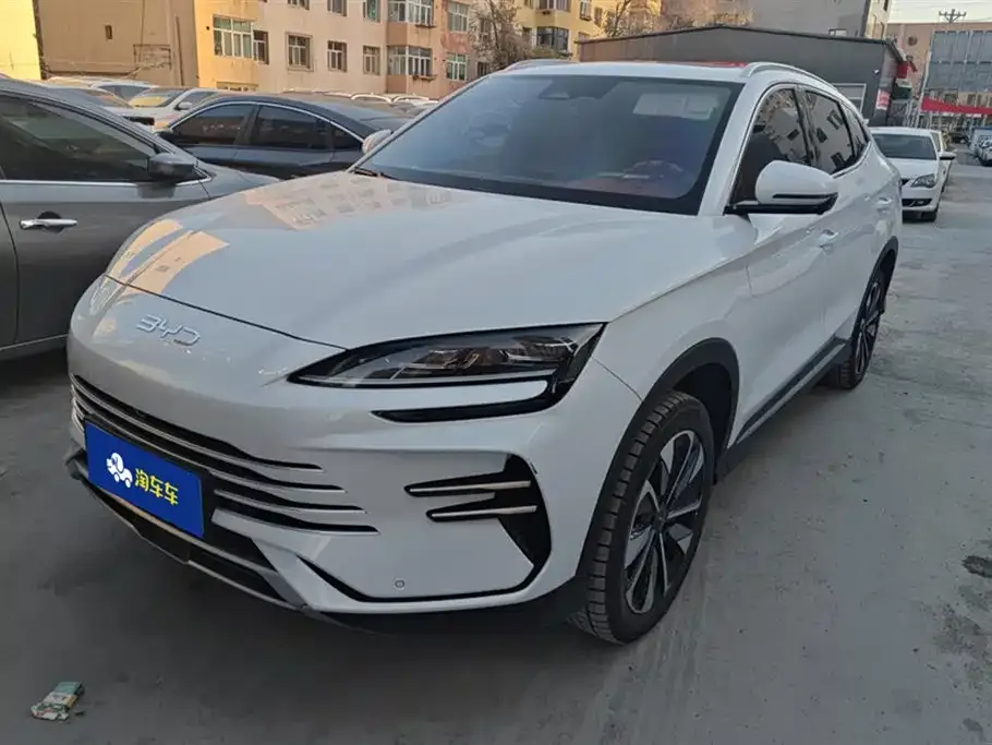BYD PLUS New Energy 2024 из CN, фото 1