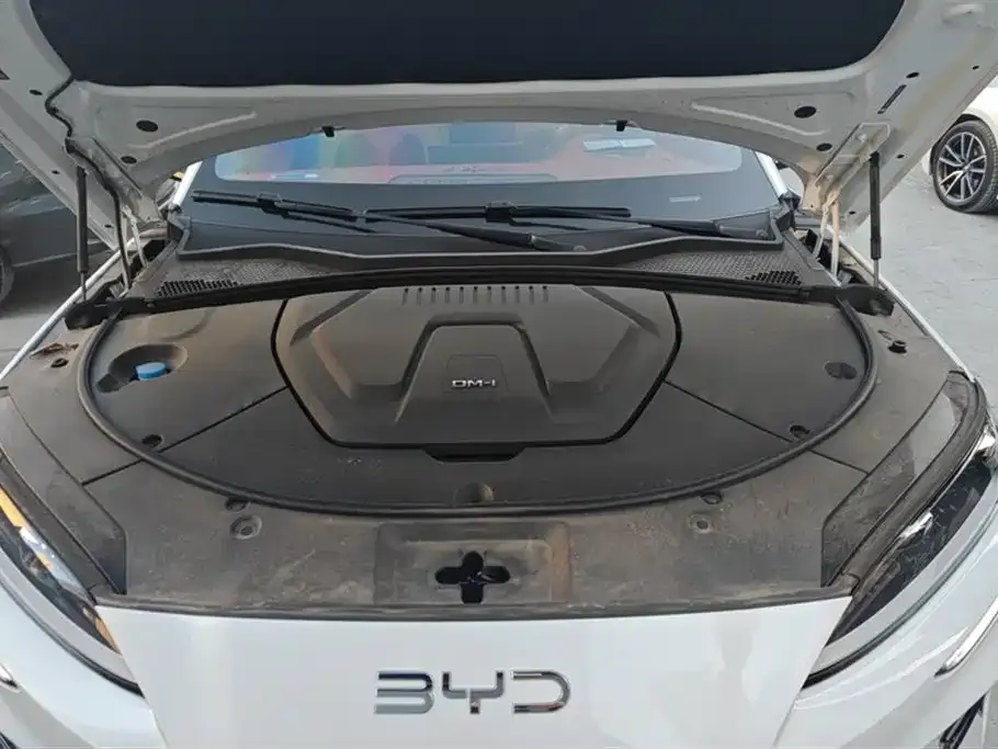 BYD PLUS New Energy 2024 из CN, фото 10
