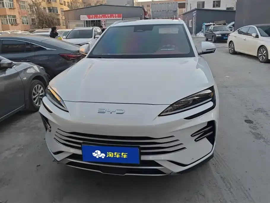 BYD PLUS New Energy 2024 из CN, фото 2