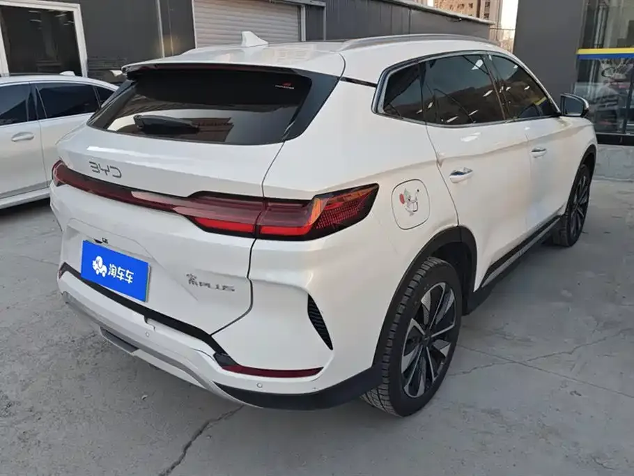 BYD PLUS New Energy 2024 из CN, фото 3
